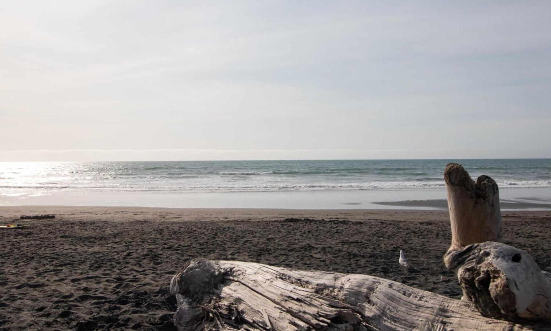 The Dunes At Fitzroy Beach - Unit 4 New Plymouth Dış mekan fotoğraf